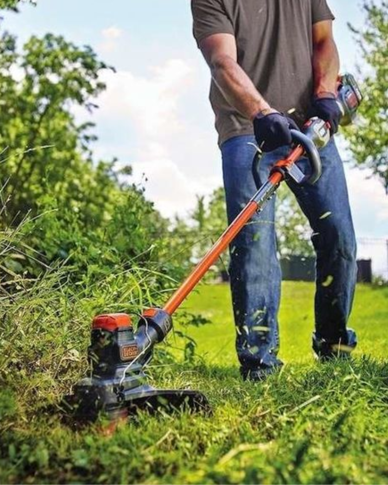 Diseño sin título (37)